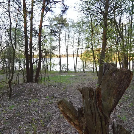 By In Willa Borne Sulinowo